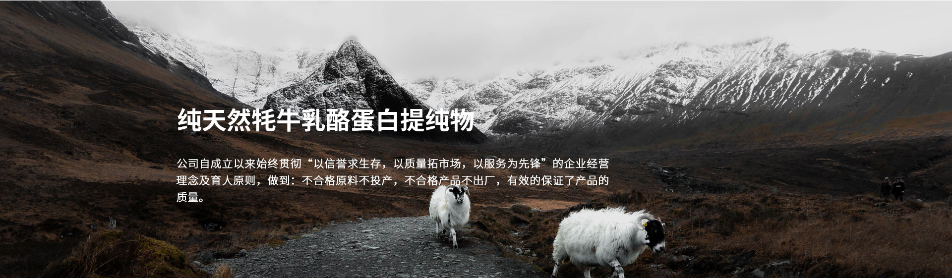 內頁banner2